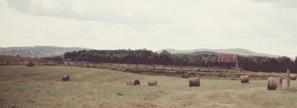 Landscape image